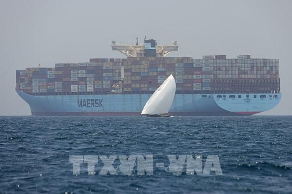 Lợi nhuận ròng của Maersk cao hơn mức dự báo