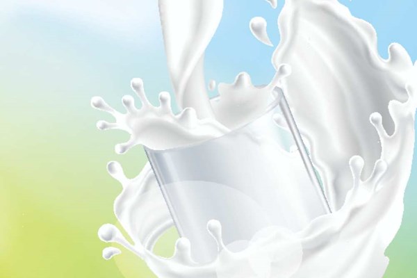 Tất cả các sản phẩm sữa của New Zealand được miễn thuế vào Trung Quốc