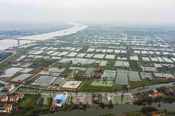 Gia hạn thời hạn nộp thuế, tiền thuê đất năm 2024