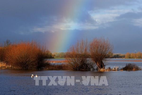 Châu Âu cần hành động khẩn cấp trước những rủi ro khí hậu