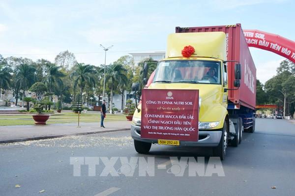 Xuất khẩu container mắc ca Đắk Lắk đầu tiên vào Hàn Quốc