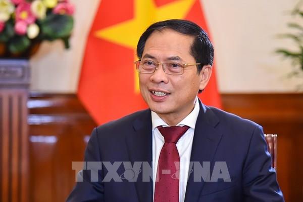 Bộ trưởng Bộ Ngoại giao Bùi Thanh Sơn: Phát huy bản sắc ngoại giao "cây tre Việt Nam”