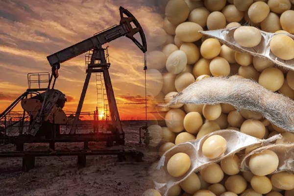 Thị trường hàng hóa ngày 4/1: Giá dầu đảo chiều tăng hơn 3%