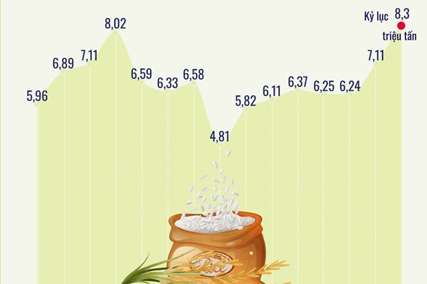 Xuất khẩu gạo đạt kỷ lục gần 8,3 triệu tấn