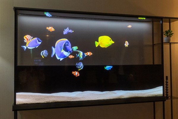 LG Electronics ra mắt máy thu hình "độc nhất vô nhị"