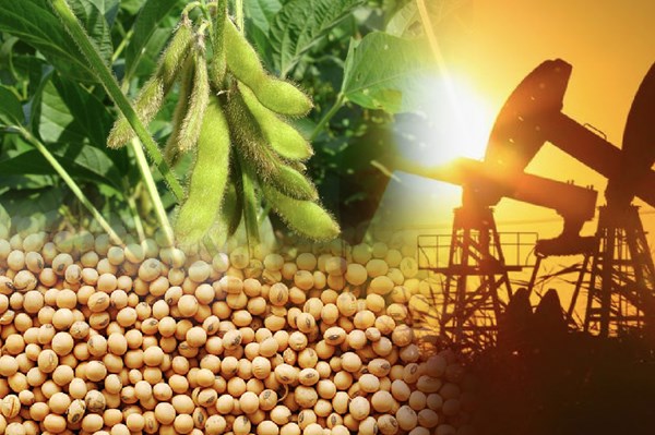 Giá hàng hóa ngày 8/1: Giá cà phê giữ ổn định