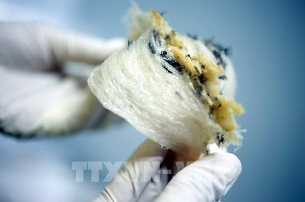 7 doanh nghiệp được xuất khẩu tổ yến sang Trung Quốc