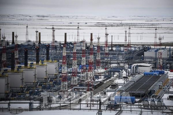 IMF: Châu Âu có thể từ bỏ hoàn toàn nguồn năng lượng từ Nga vào năm 2030