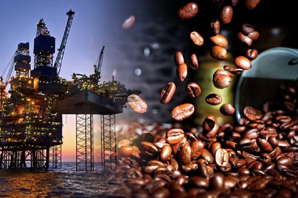 Thị trường hàng hóa ngày 16/1: Giá cà phê Robusta cao nhất trong 16 năm 