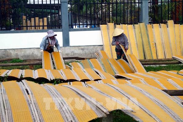 Làng nghề bánh tráng Tân An vào vụ Tết