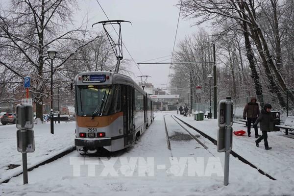 Tuyết rơi dày làm gián đoạn giao thông và nhiều lĩnh vực ở Bỉ