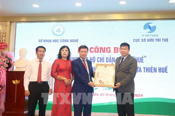 Bảo hộ chỉ dẫn địa lý "Huế" cho sản phẩm quả thanh trà