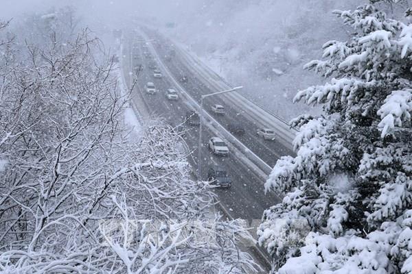 Hàn Quốc ban bố tình trạng khẩn cấp do tuyết rơi dày