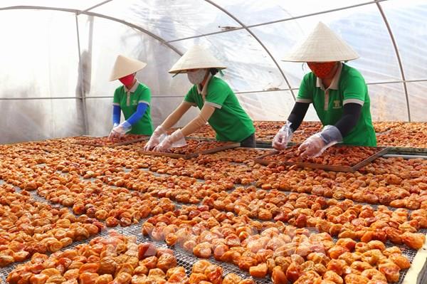 Ninh Thuận tăng sản phẩm OCOP vào thị trường Tết
