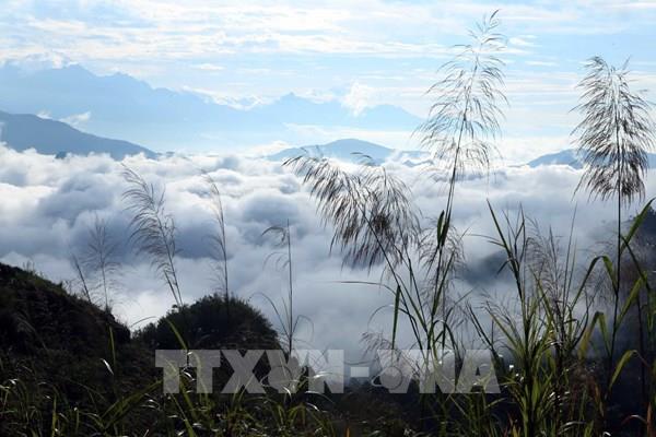 Săn mây trên đỉnh Lao Tỷ Phùng
