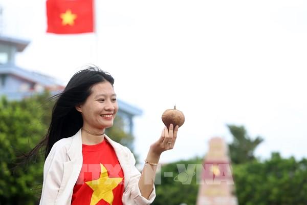 Cây bàng vuông Trường Sa