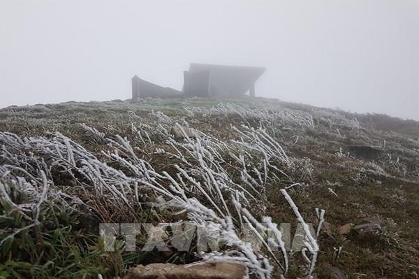 Xuất hiện băng giá trên đỉnh Mẫu Sơn, Lạng Sơn