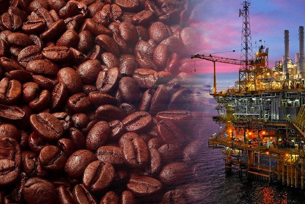 Giá cà phê Robusta lên cao nhất 16 năm