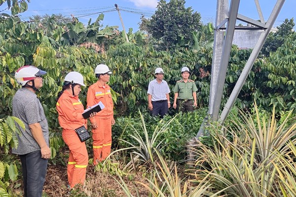 Đảm bảo an toàn lưới điện truyền tải trên địa bàn tỉnh Đắk Nông trước Tết 
