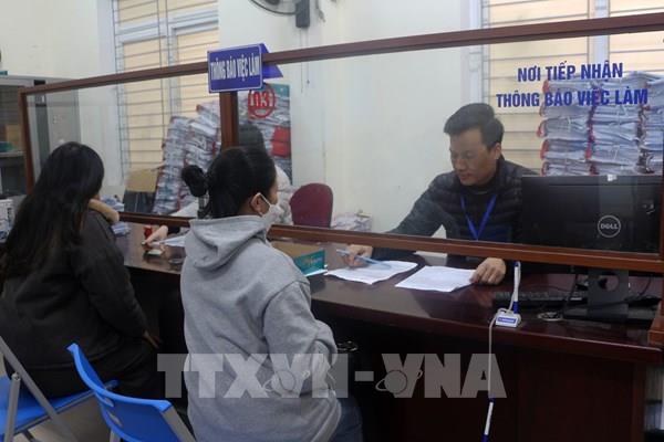 Thị trường lao động sẽ phục hồi trở lại trong năm 2024