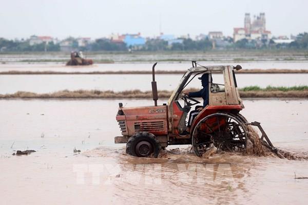 Ngày 28/1 sẽ kết thúc lấy nước đợt 1 cho vụ Đông Xuân