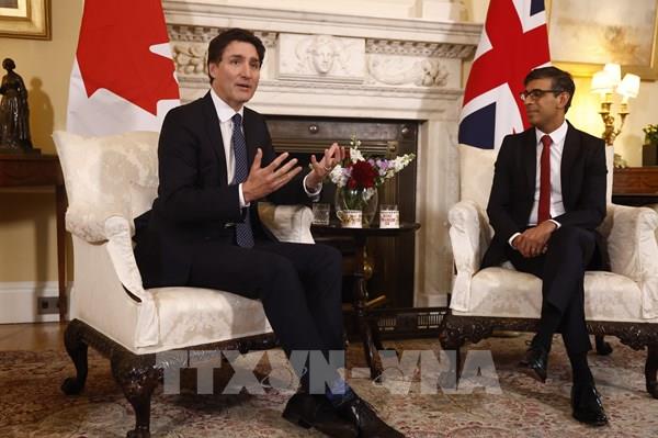 Canada phản ứng về việc Anh dừng đàm phán thương mại