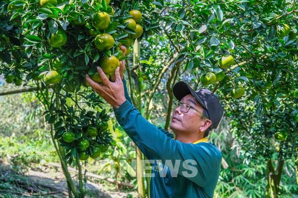 Đưa năng lượng tái tạo vào canh tác nông nghiệp ở ĐBSCL