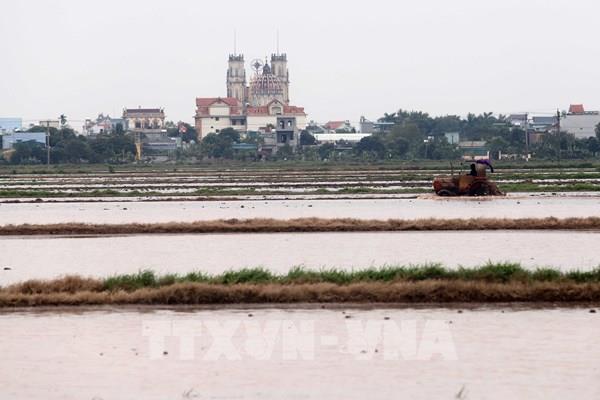Sẵn sàng phương án cấp điện cho lấy nước đổ ải vụ Đông Xuân đợt 2