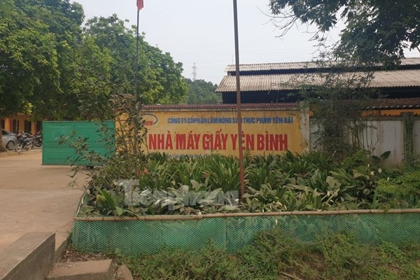 Nhà máy giấy Yên Bình bị phạt 500 triệu đồng vì vi phạm trong lĩnh vực môi trường