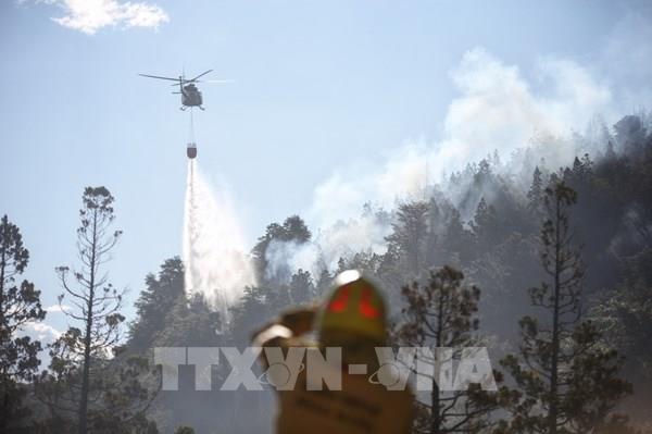 Argentina: Cháy lan rộng mất kiểm soát tại công viên quốc gia Los Alerces