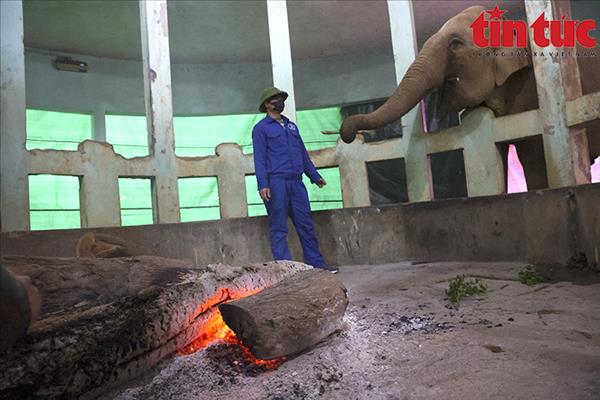 Không có việc đàn thú chịu rét, khỉ gầy trơ xương tại Vườn thú Hà Nội
