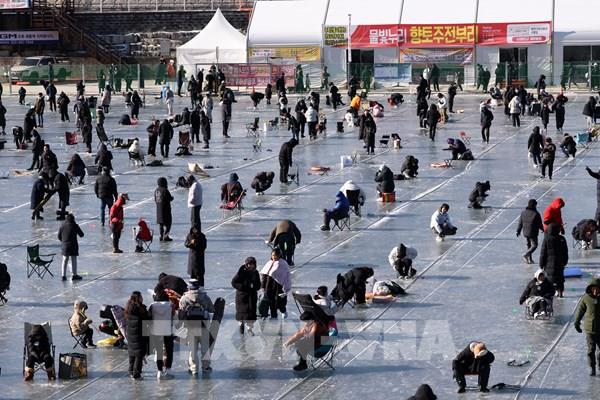 Lễ hội câu cá hồi trên băng tại Hàn Quốc thu hút lượng khách kỷ lục