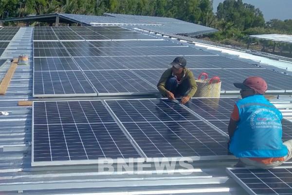 Lợi ích kép của điện mặt trời trong sản xuất nông nghiệp