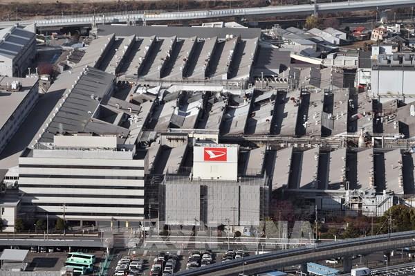 Doanh số ô tô ở Nhật Bản tăng 3,3% trong tài chính 2023