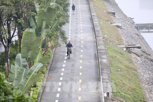 Hình ảnh làn đường dành riêng cho xe đạp tại Hà Nội