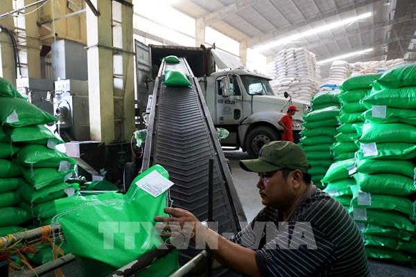 Bộ Công Thương đảm bảo mục tiêu kép trong điều hành xuất khẩu gạo