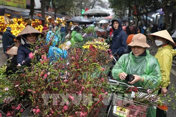 Chỉ đạo, điều hành của Chính phủ, Thủ tướng Chính phủ nổi bật tuần từ 29/1-2/2/2024