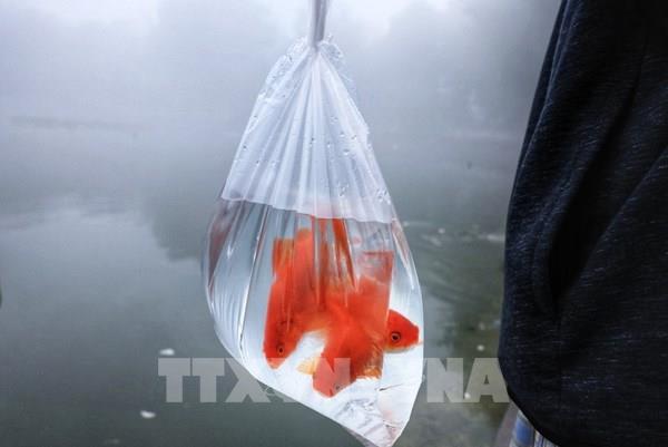 Thời tiết ngày ông Công, ông Táo: Bắc Bộ và Trung Bộ có nơi có mưa, Nam Bộ trời nắng