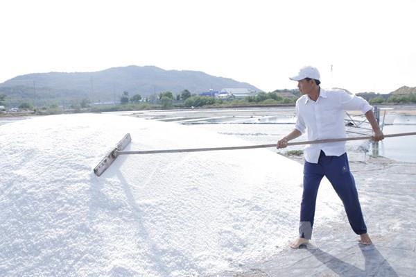 Giá muối giảm, diêm dân vẫn có lãi