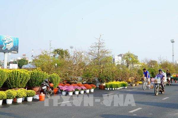 Sức mua giảm, người bán hoa Tết ở Kiên Giang lo lắng