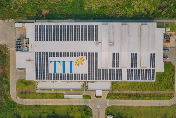 Câu chuyện Net Zero tại Tập đoàn TH