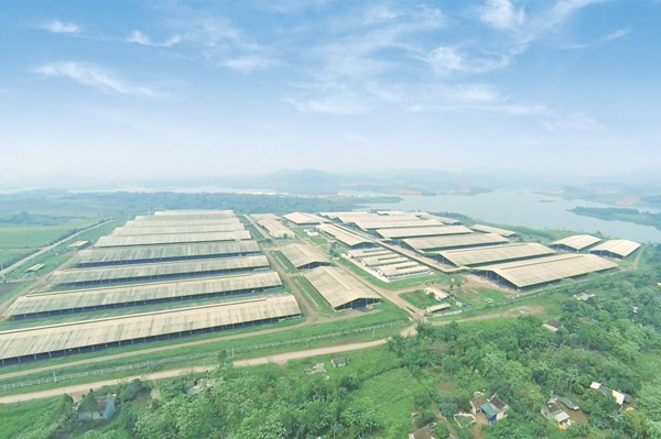 Tín chỉ carbon - Bài 1: Nỗ lực thích ứng