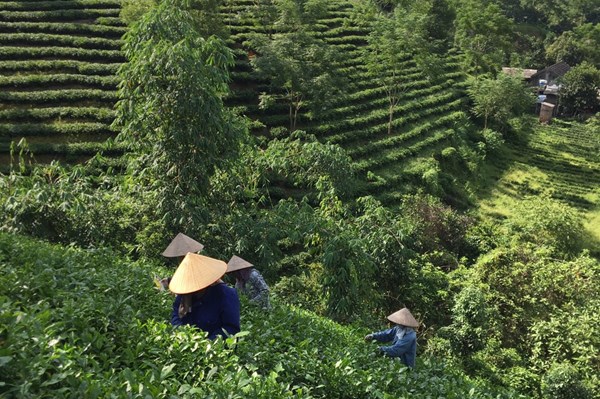 Lan tỏa hạt nhân nông nghiệp xanh