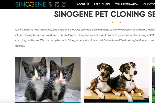 Xu hướng ngành kinh doanh thú cưng - Bài cuối: Những cơ hội mới