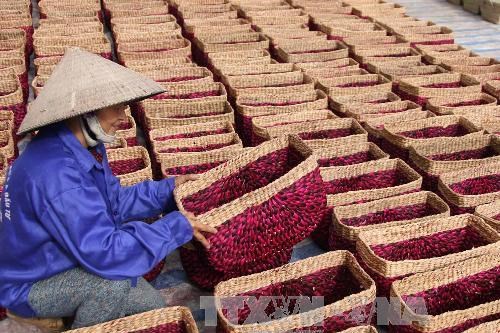 Việt Nam tiếp tục là đối tác thương mại lớn thứ 3 của Hàn Quốc