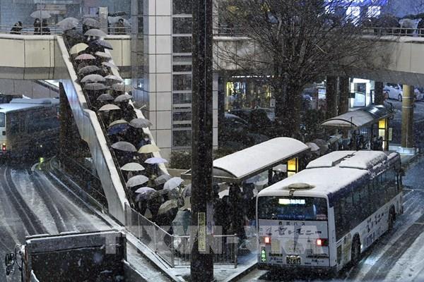 Tuyết rơi ảnh hưởng nghiêm trọng đến hệ thống giao thông tại Tokyo