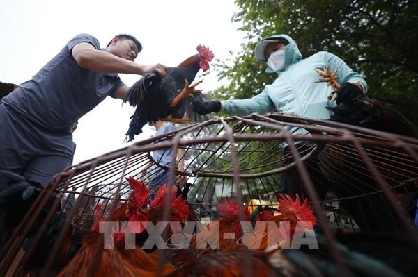 Đi chợ Nủa phiên tất niên