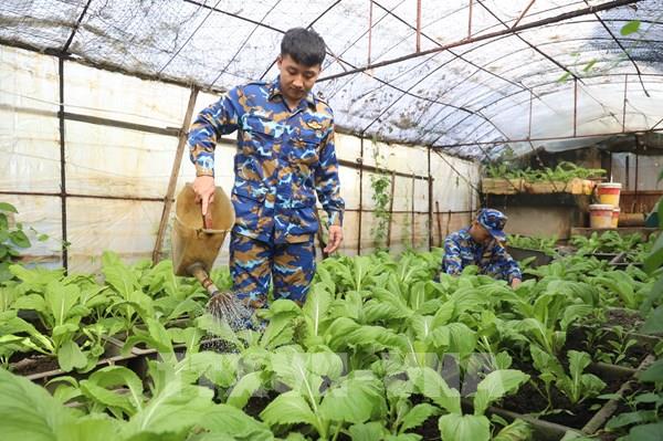 Tăng gia sản xuất trên Quần đảo Trường Sa