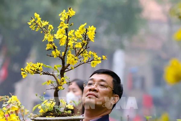 Lựa đào, sắm quất, mang Xuân về nhà