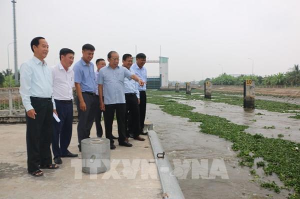 Nước mặn xâm nhập sâu vào nội đồng Long An